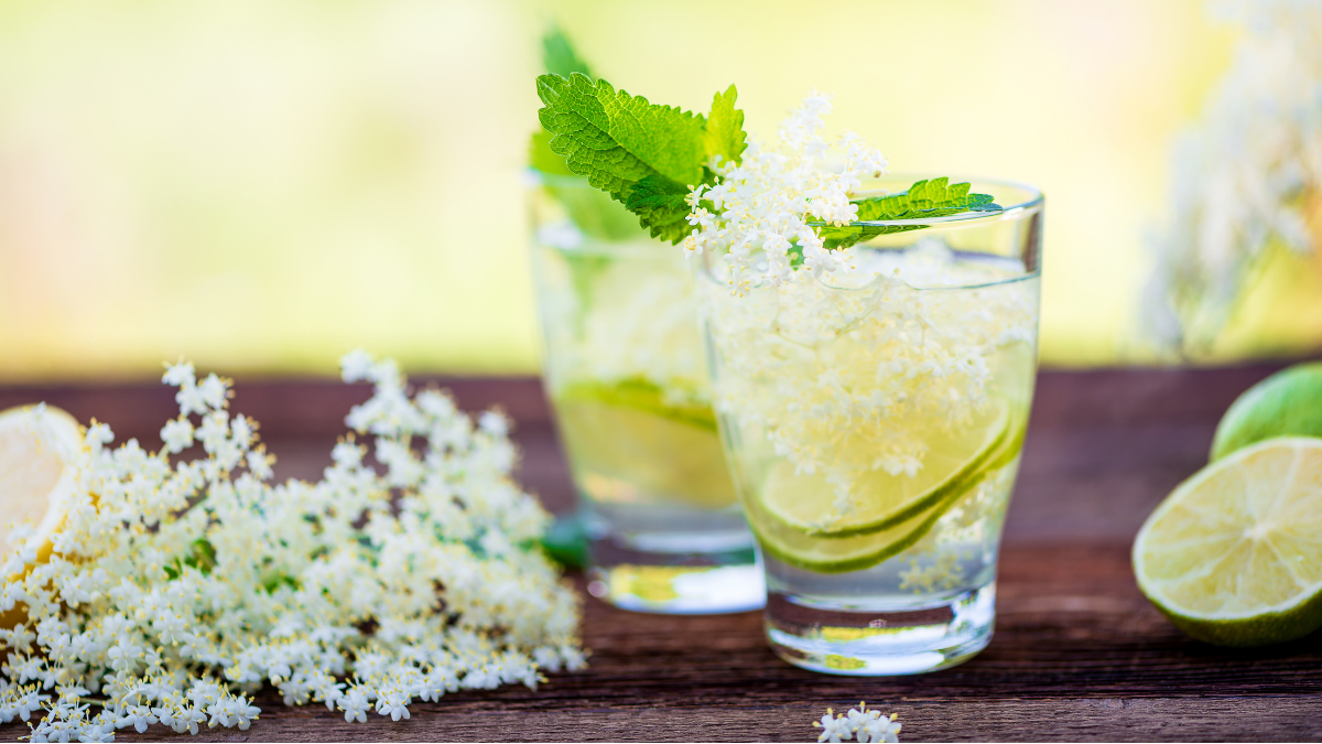 Vibrant Floral and Botanical Flavors Blossom into F&B